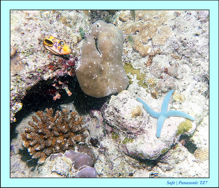 2011 - 08 - Borneo - Mataking 09